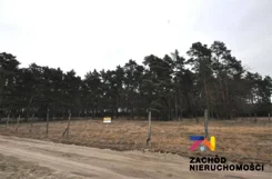 165580227 - zdjęcie nr 1