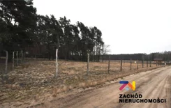 165580227 - zdjęcie nr 2