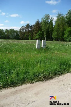 158320227 - zdjęcie nr 2
