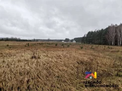 154340227 - zdjęcie nr 2