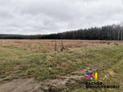 154340227 - zdjęcie nr 3