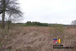 141110227 - zdjęcie nr 2