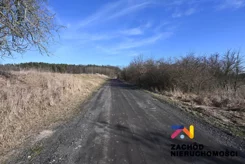 165390227 - zdjęcie nr 3