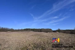 165390227 - zdjęcie nr 5