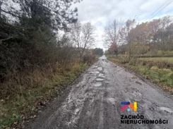 152650227 - zdjęcie nr 2