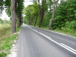 56370227 - zdjęcie nr 3