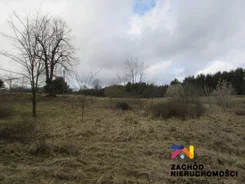 144530227 - zdjęcie nr 0