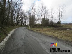 144530227 - zdjęcie nr 1