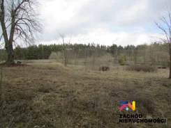 144530227 - zdjęcie nr 2