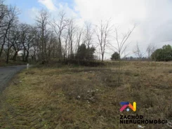 144530227 - zdjęcie nr 3