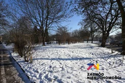 164540227 - zdjęcie nr 2