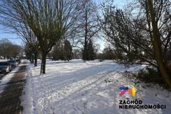 164540227 - zdjęcie nr 3