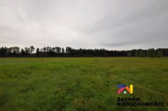 155580227 - zdjęcie nr 1