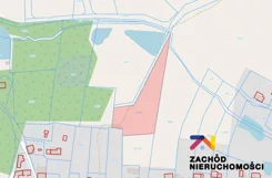 166230227 - zdjęcie nr 2