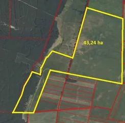 79340227 - zdjęcie nr 2