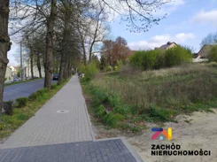 166350227 - zdjęcie nr 3