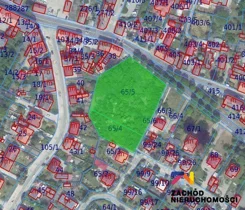 166350227 - zdjęcie nr 4