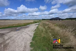 162400227 - zdjęcie nr 5