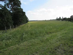 87530227 - zdjęcie nr 1