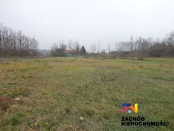 131630227 - zdjęcie nr 2