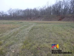 131620227 - zdjęcie nr 1