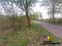 154830227 - zdjęcie nr 1