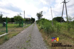155800227 - zdjęcie nr 4