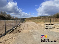 166210227 - zdjęcie nr 3