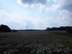 39530227 - zdjęcie nr 1