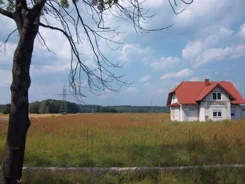 39530227 - zdjęcie nr 2