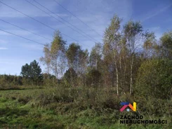 164570227 - zdjęcie nr 0