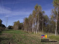 164570227 - zdjęcie nr 1