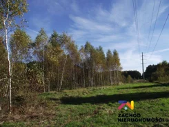 164570227 - zdjęcie nr 3
