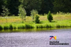 151730227 - zdjęcie nr 4