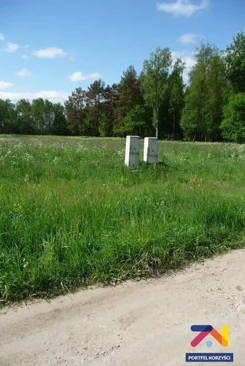 119580227 - zdjęcie nr 2