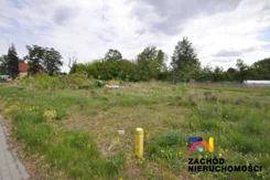 155250227 - zdjęcie nr 3