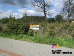 154940227 - zdjęcie nr 3