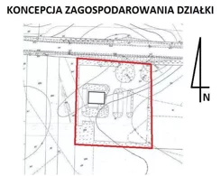 56700227 - zdjęcie nr 3
