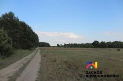 147100227 - zdjęcie nr 1