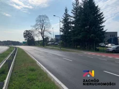 143280227 - zdjęcie nr 2