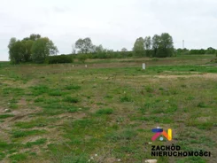 151910227 - zdjęcie nr 3