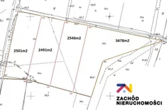 146710227 - zdjęcie nr 2