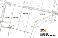 142800227 - zdjęcie nr 2