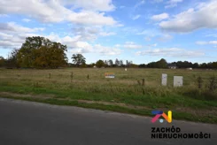 163840227 - zdjęcie nr 0