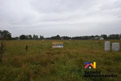 163840227 - zdjęcie nr 4