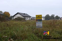 163840227 - zdjęcie nr 5
