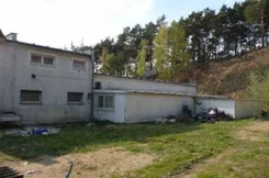 23500227 - zdjęcie nr 3