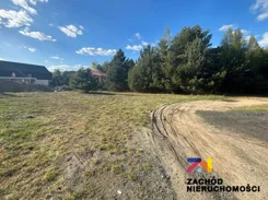 165540227 - zdjęcie nr 1