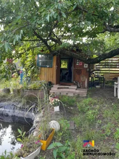 162770227 - zdjęcie nr 3