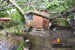 162770227 - zdjęcie nr 4